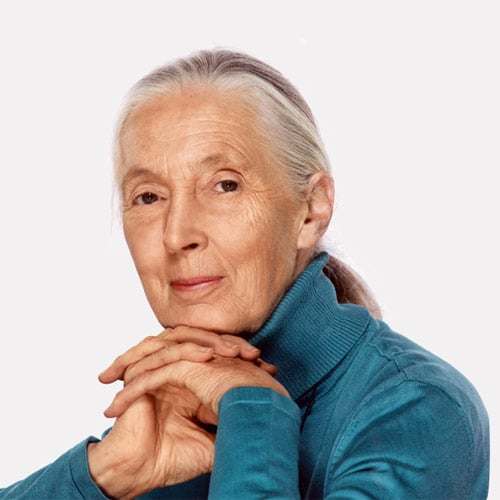 Listen now: What it Takes to Make History—with Dr. Jane Goodall